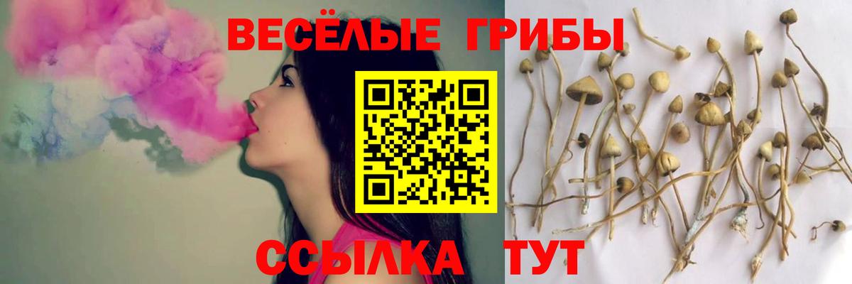 Псилоцибиновые грибы мицелий Волоколамск